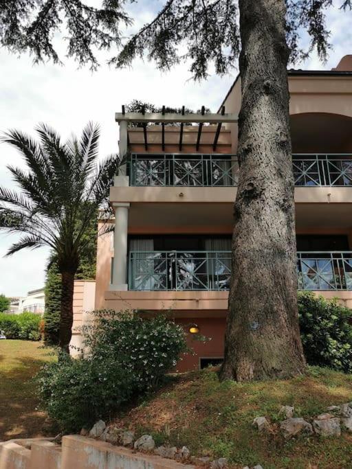 Appartement Renove, Piscine A Debordement, Vue Mer Cannes Bagian luar foto